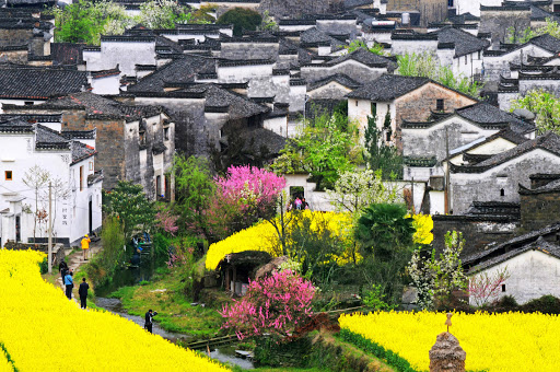 Qingyuan Village