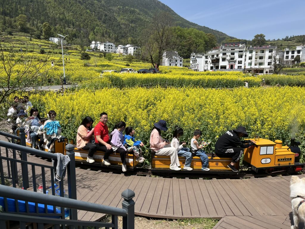 Jiangling_train
