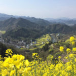Jiangling Village
