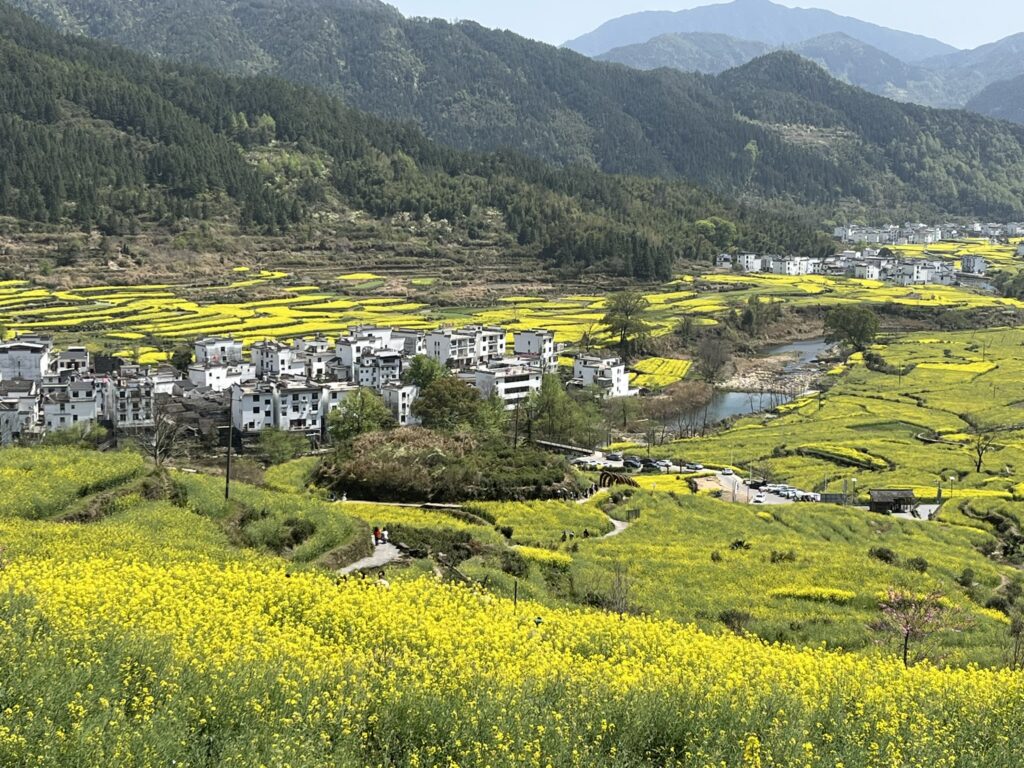 Jiangling in Spring