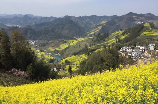 Jiangling Jiangling Village